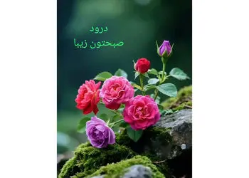 طالع بینی امروز 10 دی + فیلم