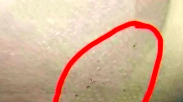 تزریق دارو و احتمال تعرض به کودکان مهدکودکی در چین جنجالی شد + تصاویر