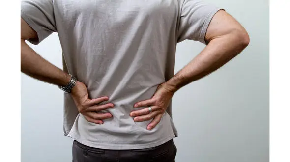 نسخه گیاهی برای مبتلایان به کمر درد