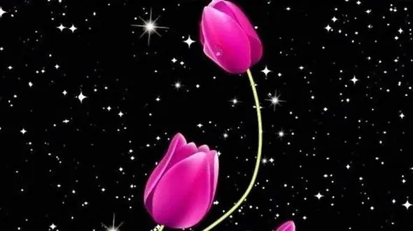 در برخورد با انسان های خشن آرام باش + فیلم