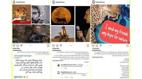  خانم بازیگر از توله یوزپلنگ تصادفی چه استفاده ای کرد! +عکس
