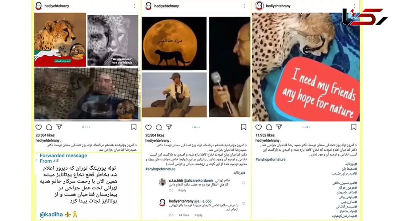  خانم بازیگر از توله یوزپلنگ تصادفی چه استفاده ای کرد! +عکس
