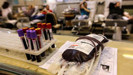 آخرین خبرها از وضعیت ذخایر خون کشور / آیا کمبود خون در کشور صحت دارد؟