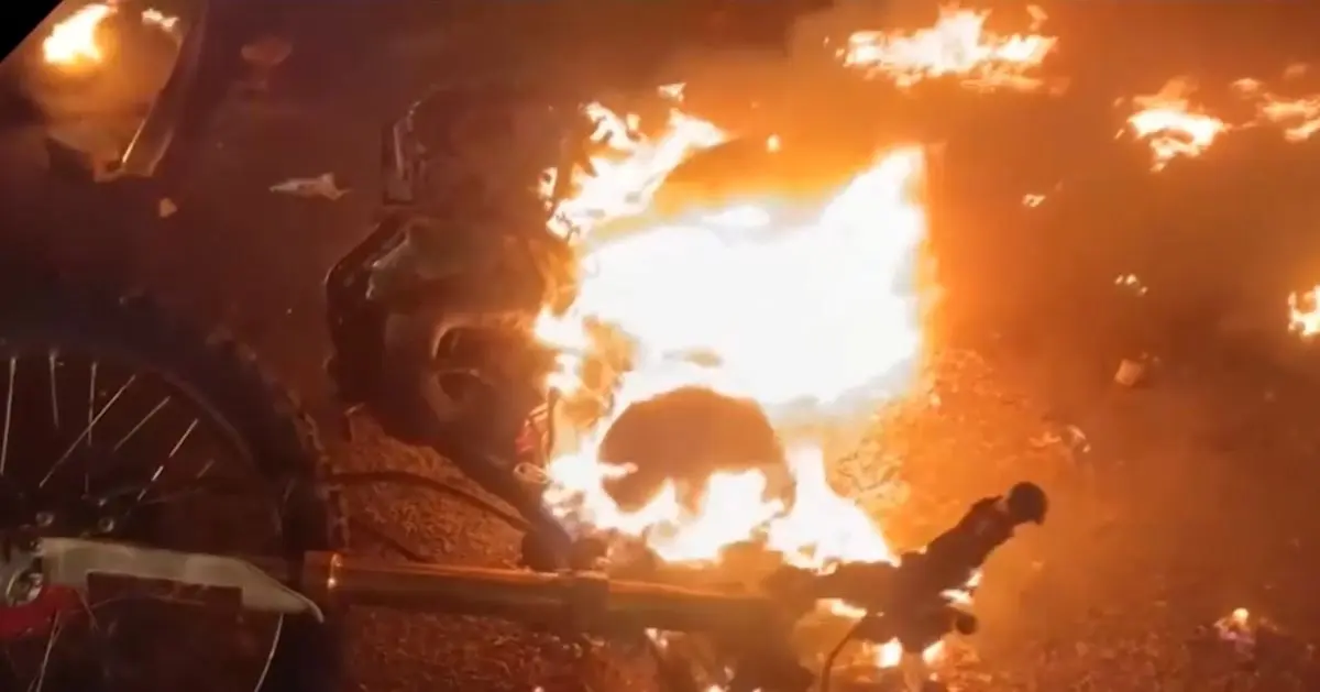 محل سوزاندن بدن نیمه جان شهید مهدی فردی در رشت / دوستش : دیدم گلوله خورد و بعد با چاقو زدنش و آتشش زدند هنوز زنده بود