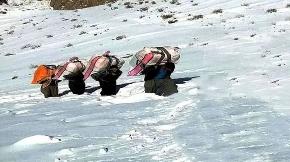 کولبر 17 ساله در سروآباد یخ زد و جان سپرد/ کولبر 14 ساله همچنان مفقود است