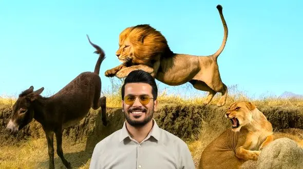 مستند حیات وحش خنده دار با امیرحسین قیاسی: اُلاغه زده شیر رو ترکونده/ لامصب طنزش 10 هیچ از بقیه جلوتره