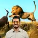 مستند حیات وحش خنده دار با امیرحسین قیاسی: اُلاغه زده شیر رو ترکونده/ لامصب طنزش 10 هیچ از بقیه جلوتره