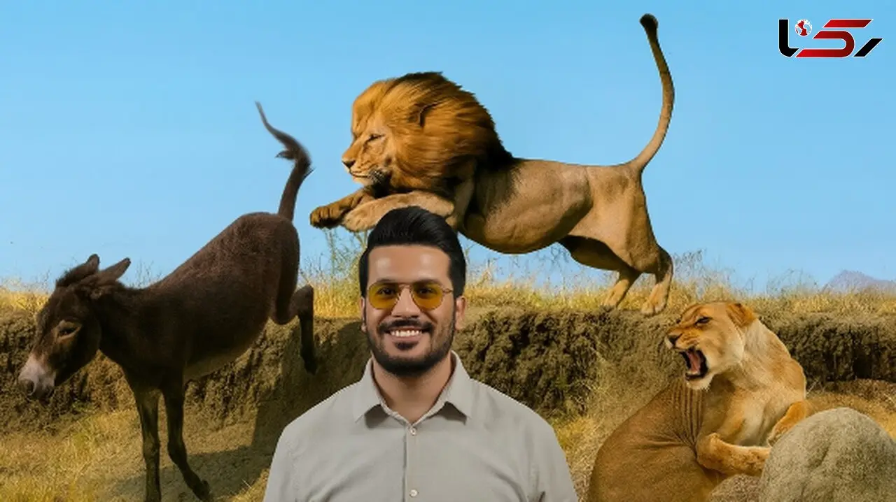 مستند حیات وحش خنده دار با امیرحسین قیاسی: اُلاغه زده شیر رو ترکونده/ لامصب طنزش 10 هیچ از بقیه جلوتره