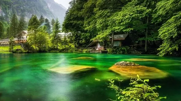 آرامش در دل طبیعت / از چمن‌زار تا کنار برکه