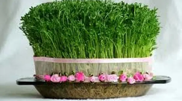 سبزه شب عید متفاوت + فیلم