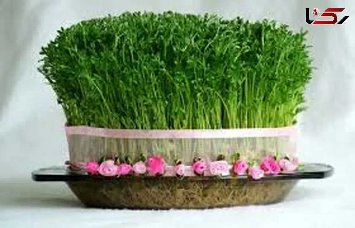 سبزه شب عید متفاوت + فیلم