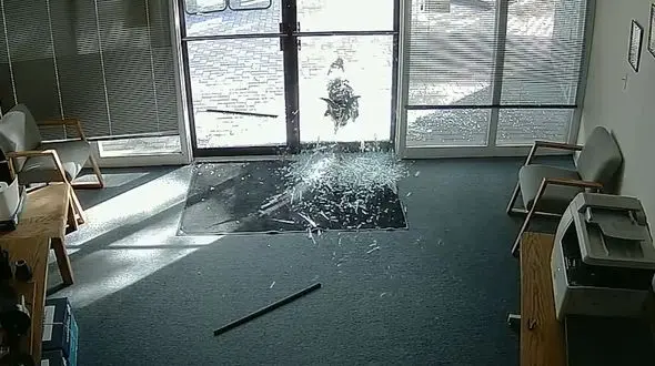 بز خشمگین همه شیشه های یک اداره را شکست+فیلم