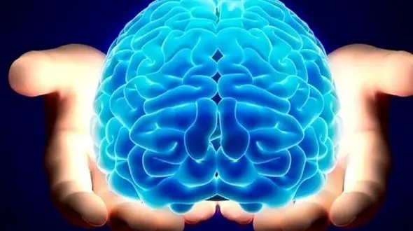 کمبود این ویتامین مغزتان را کوچک می کند 