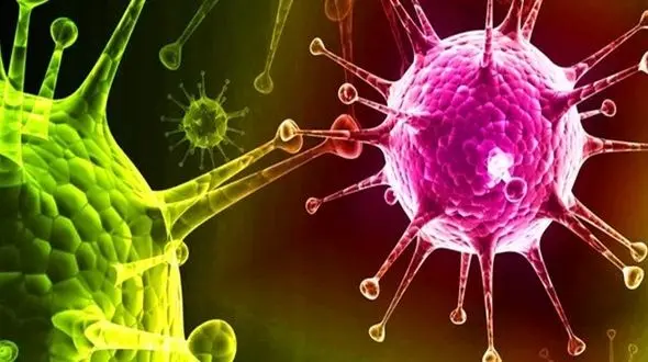 کرونا در این 3 شهر ایران جولان مرگ می دهد