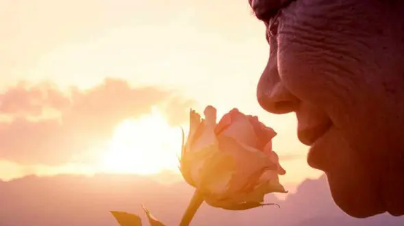 آیا کاهش حس بویایی از علائم کرونا است؟