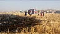 12  هکتار از اراضی کشاورزی ایذه در آتش سوخت
