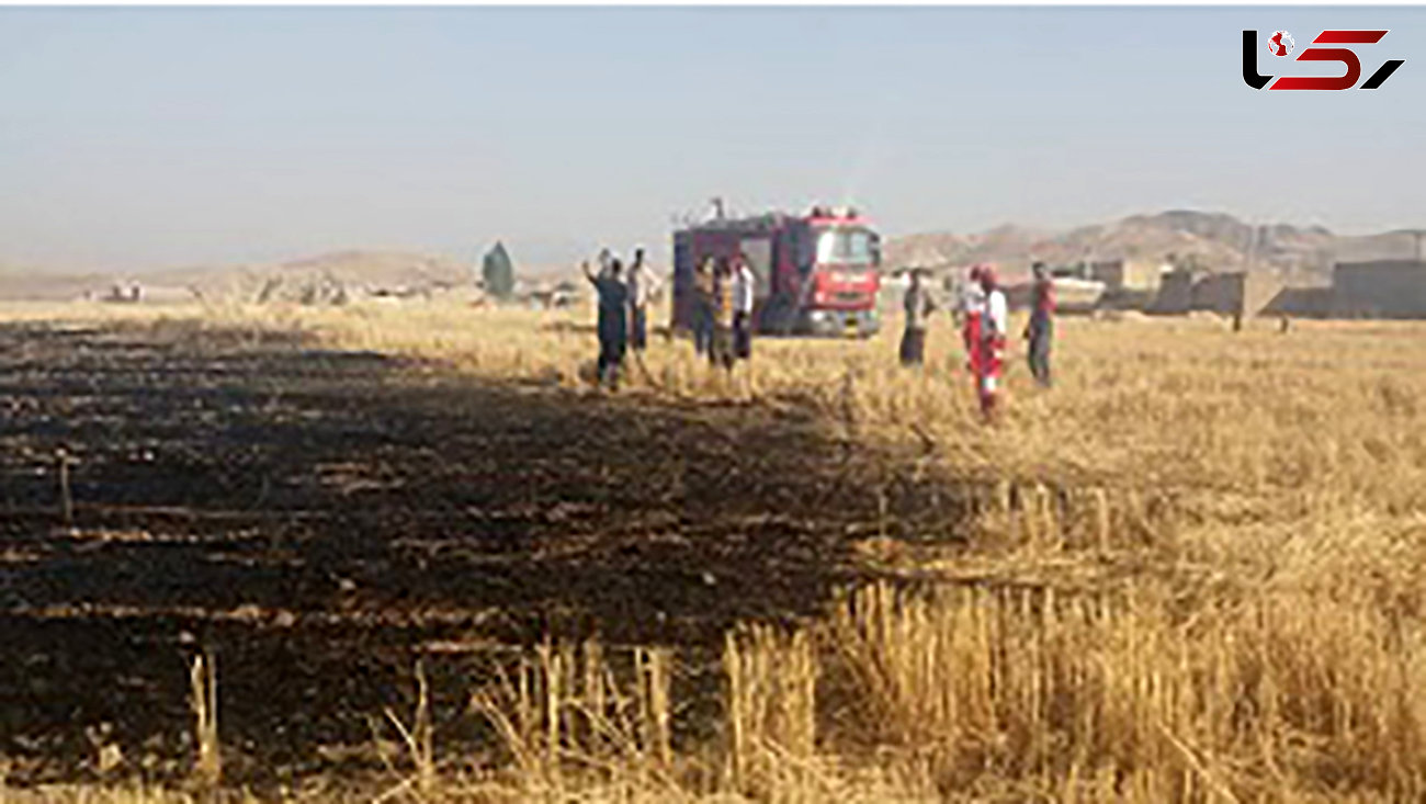 12  هکتار از اراضی کشاورزی ایذه در آتش سوخت