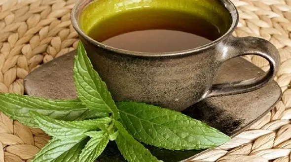 پاکسازی ریه با یک سبزی معطر