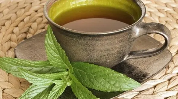 پاکسازی ریه با یک سبزی معطر