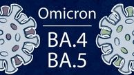ویژگی های زیرسویه جدید امیکرون / BA.5 چیست و از کجا آمد؟ 