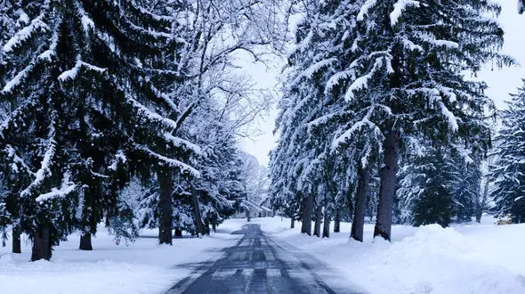 زندگی کوتاه است / هر روز را طوری زندگی کن