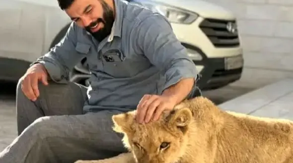 فیلم/ پست غم انگیز علی اکبری: آقا لئو ( لقب شیر) سفر سلامت!