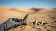 کشف قبرستان باستانی کوسه‌ ها در دل بیابان مصر؛ ردپای دریایی پررمزوراز در صحرا