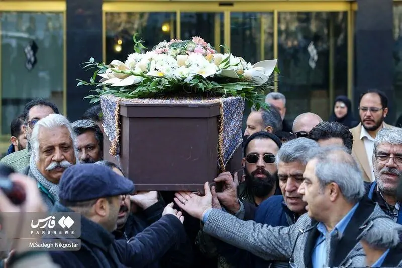 محسن افشانی