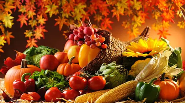 مواد غذایی مفید برای تقویت بدن در روزهای پاییزی چیست؟