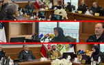 رونمایی از پلاک خودروهای هیبریدی و برقی در تهران