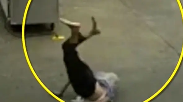 مرگ پیرزن بر اثر گیرکردن زنجیر سگ به پایش!+ فیلم