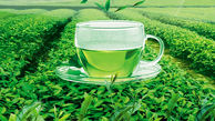خواص فوق العاده چای سبز