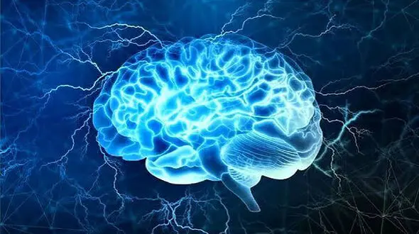 مغزتان را با قند گول نزنید؛ راز تمرکز در صبحانه پروتئینی است