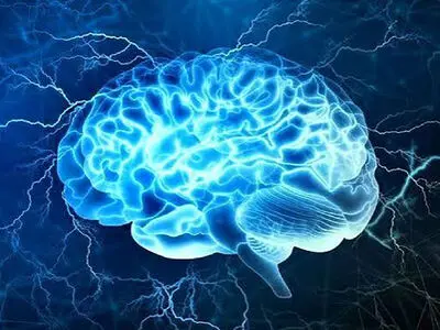 مغزتان را با قند گول نزنید؛ راز تمرکز در صبحانه پروتئینی است