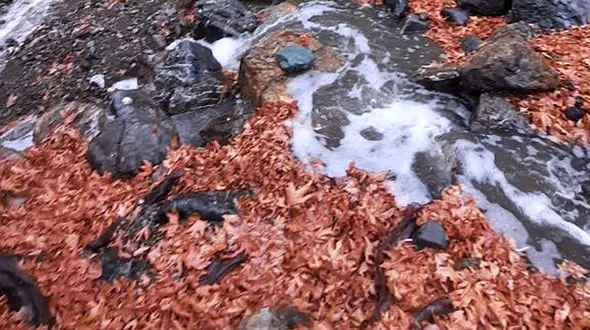 فال ابجد 18 مهر + فیلم