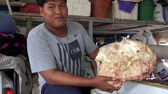 ماهیگیری که یک شبه میلیونر کرد! + فیلم