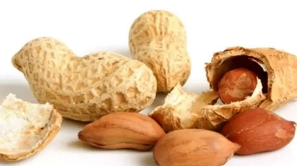 درمان حساسیت به بادام زمینی با تکنیکی نوین