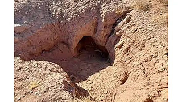 دستگیری حفاران غیرمجاز در سمیرم