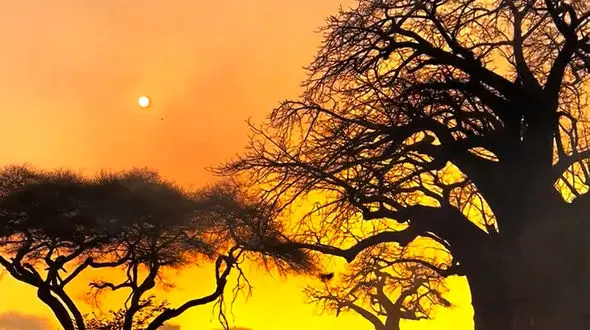 امید یعنی هنوز راهی هست