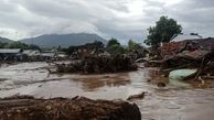 Indonesia landslides, floods kill 55 people, dozens missing