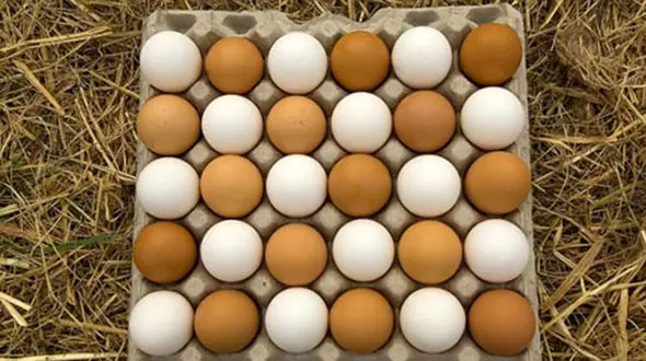 قیمت تخم مرغ کاهش یافت