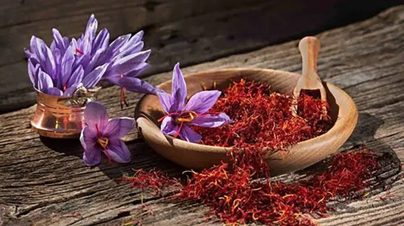 8 خاصیت جالب زعفران + اینفوگرافی