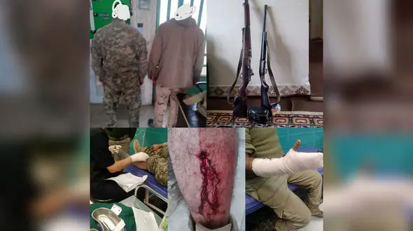 دستگیری شکارچیان متخلف در سفید کوه / دو محیط بان به شدت مصدوم شدند