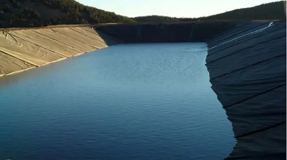 
مرگ دردناک در استخرهای کشاورزی+ عکس
