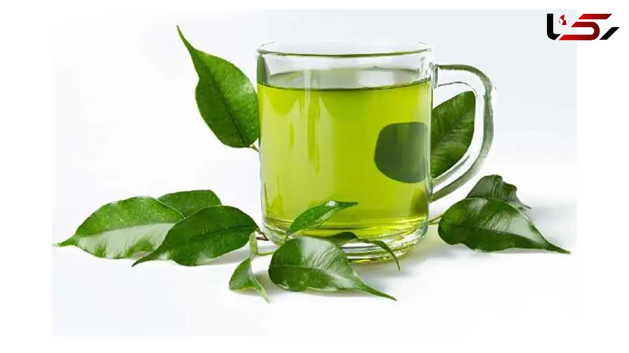 کاربردها و موارد منع مصرف 5 دمنوش گیاهی