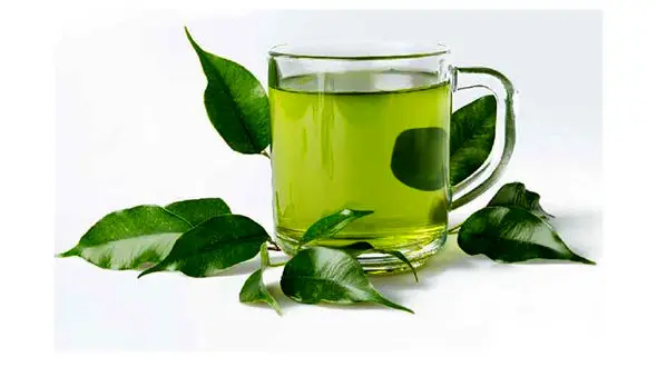 کاربردها و موارد منع مصرف 5 دمنوش گیاهی