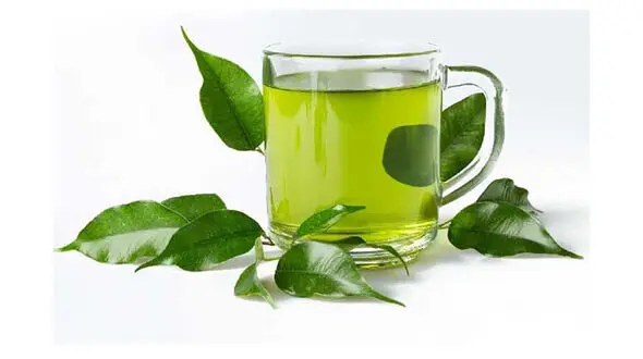 کاربردها و موارد منع مصرف 5 دمنوش گیاهی