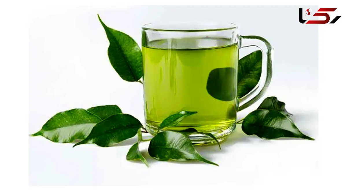 کاربردها و موارد منع مصرف 5 دمنوش گیاهی