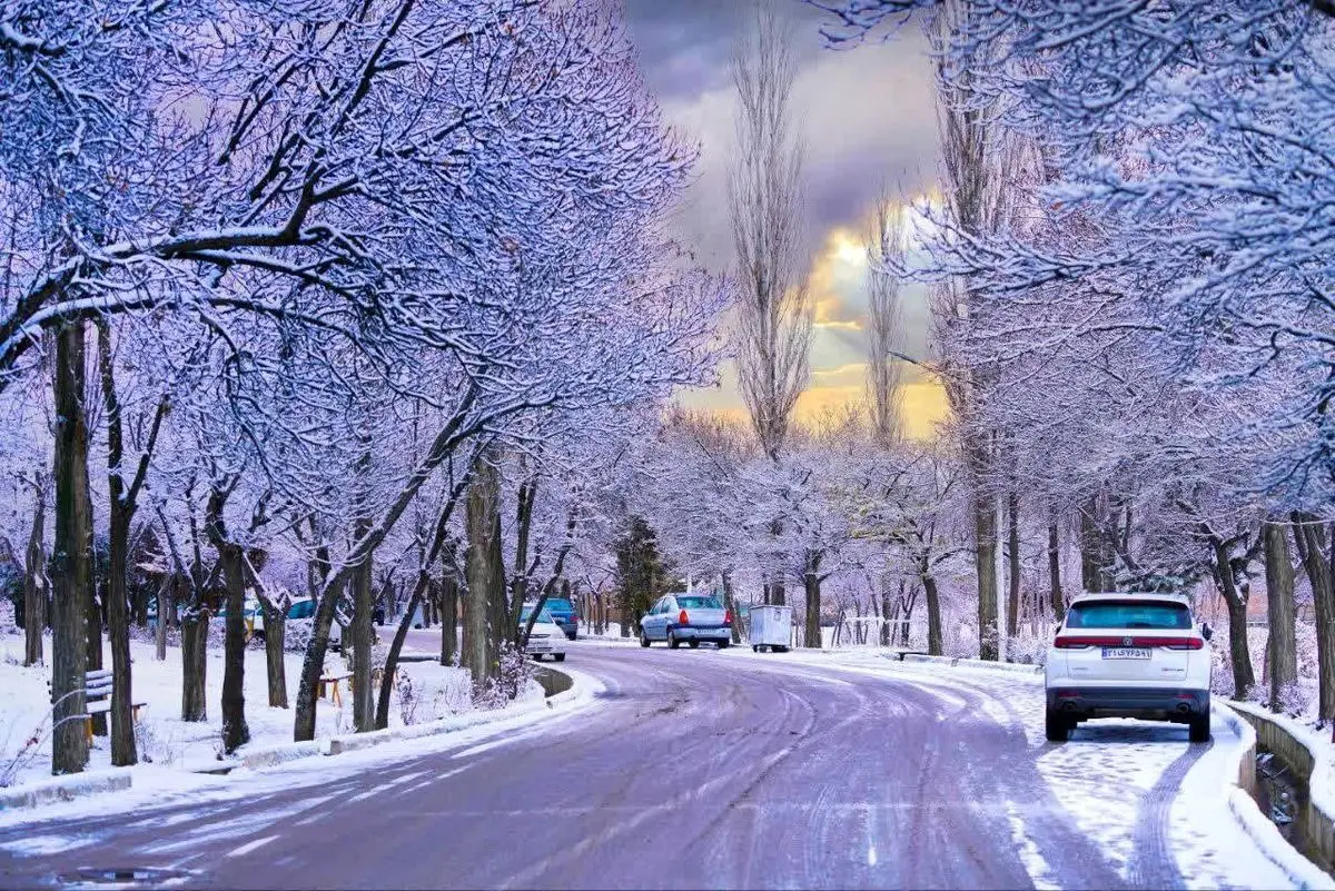 بارش شدید برف در کدکن تربت حیدریه