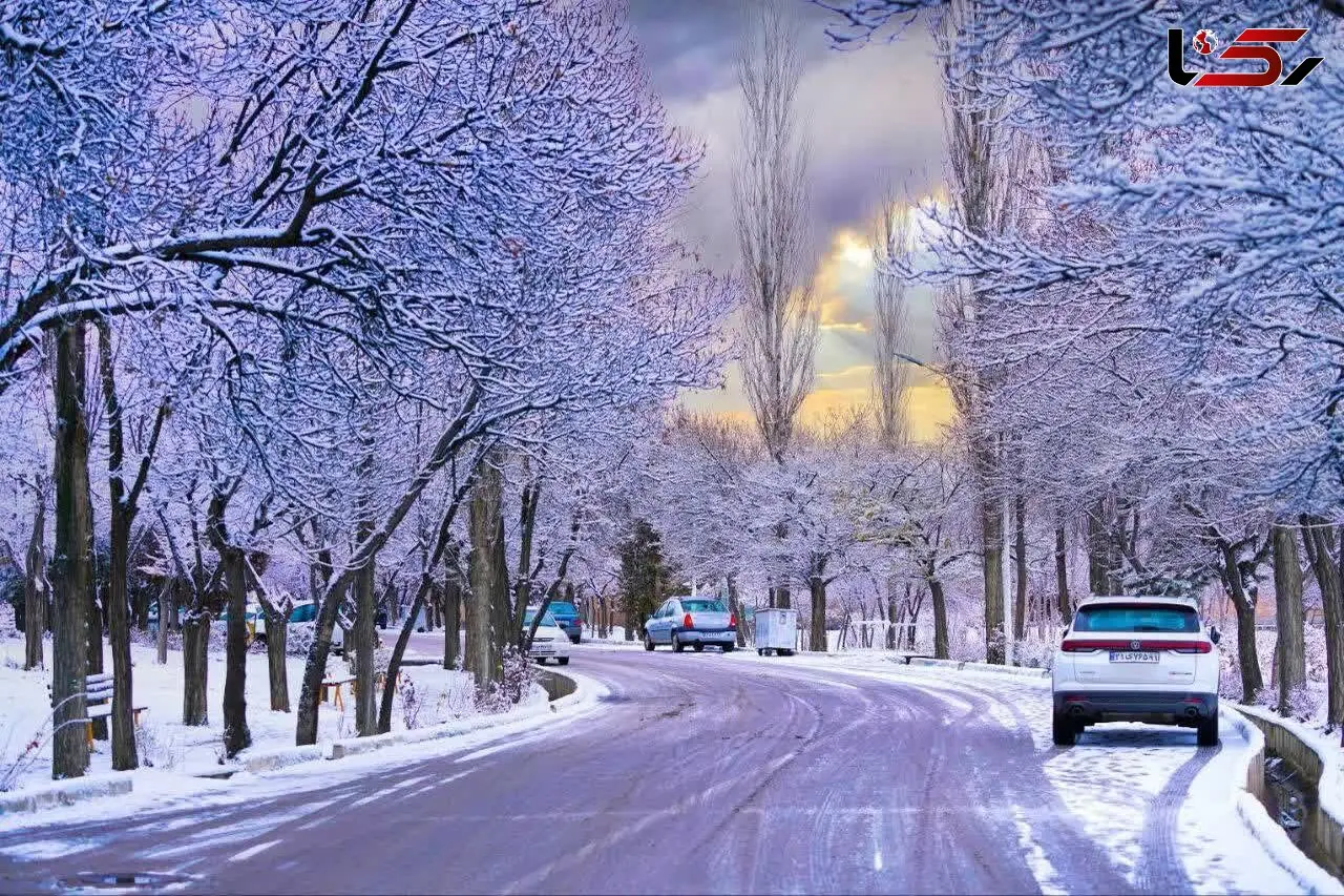زاویه‌ ای چشم‌ نواز از ارتفاعات برفی اردبیل + فیلم
